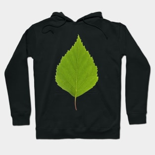 Let me know if I have any Leaf Hoodie